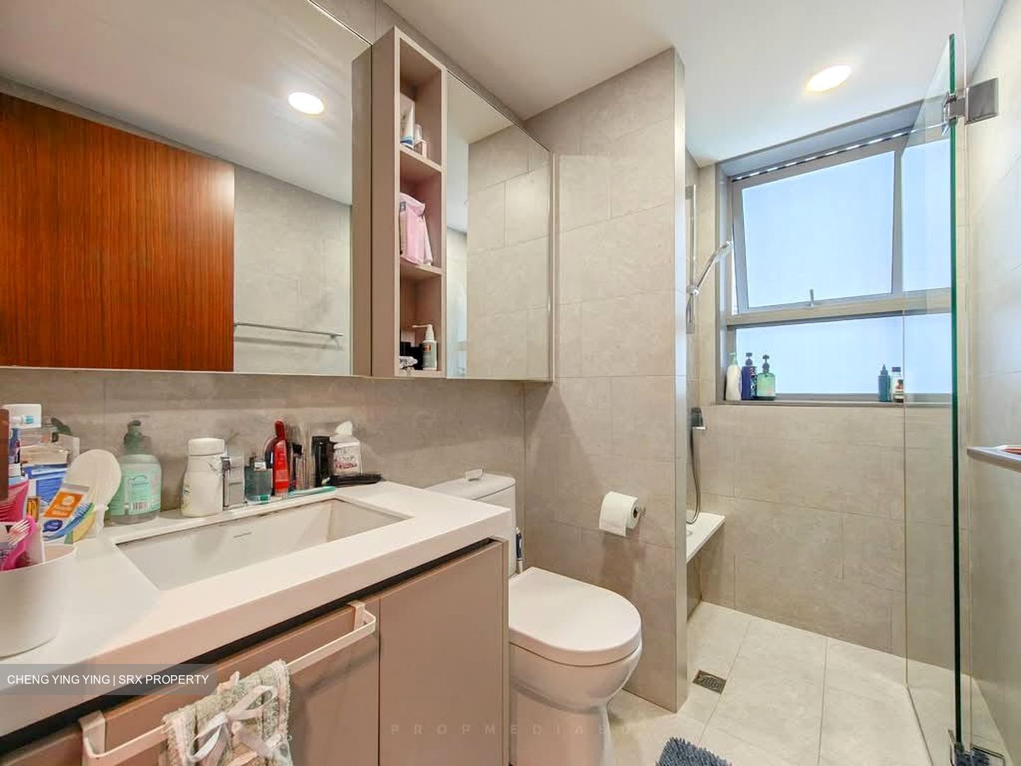 The Visionaire (D27), Condominium #557279731